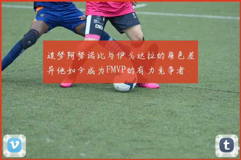 追梦阿努诺比与伊戈达拉的角色差异他如今成为FMVP的有力竞争者